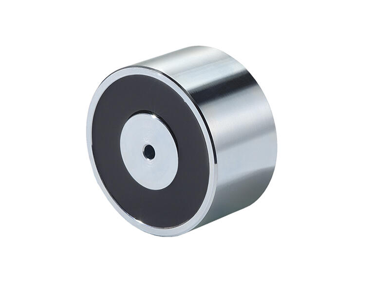 Aimant de maintien GN 50.3 D. 1 20 ± 01 mm D. 2 M 6 mm néodyme fer bore ND  G (Par 5) - AM3P - Division outillage